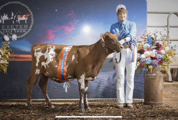 Exeter Calf Show