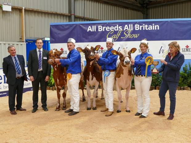 L to R, Marleycote Sea Lily 29, Denman's Supreme Lizzie, Sandyford Supreme Lily