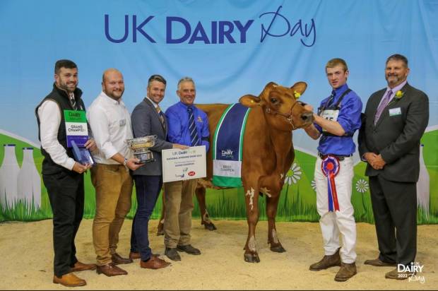 UK Dairy Day, National Ayrshire Show