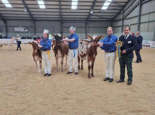 All Breeds All Britain Calf Show