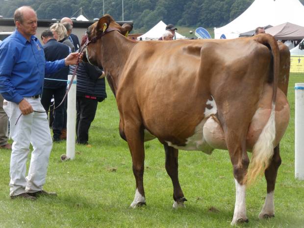 Dumfries Show