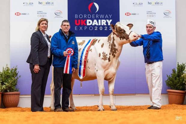 Borderway Dairy Expo 2023