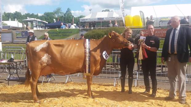 Devon County Show