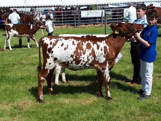 Great Harwood Show 2018