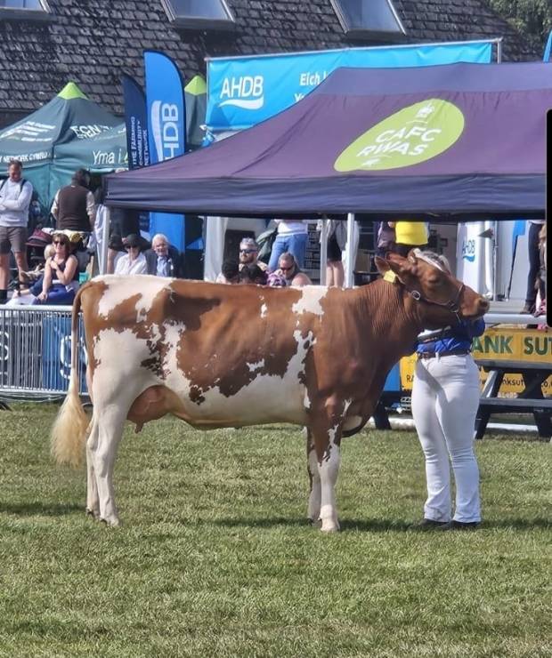 Royal Welsh 2025