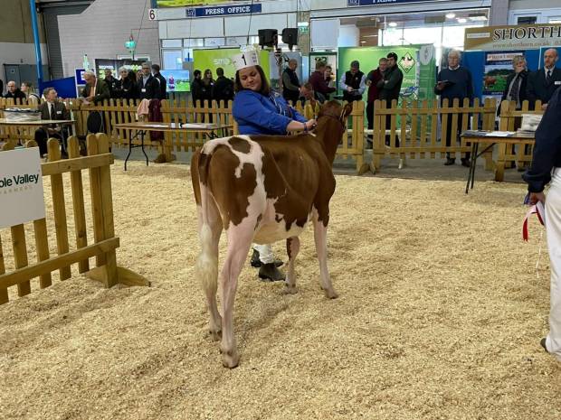 South West Dairy Show 