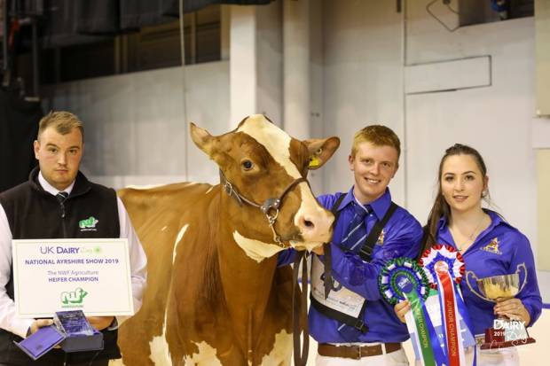 Heifer Champion