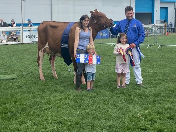 Ayrshire Heifer Champion & Interbreed - Halmyre Urr Louise 376