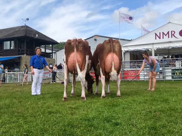 Royal Welsh Show