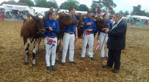 Interbreed Champion group