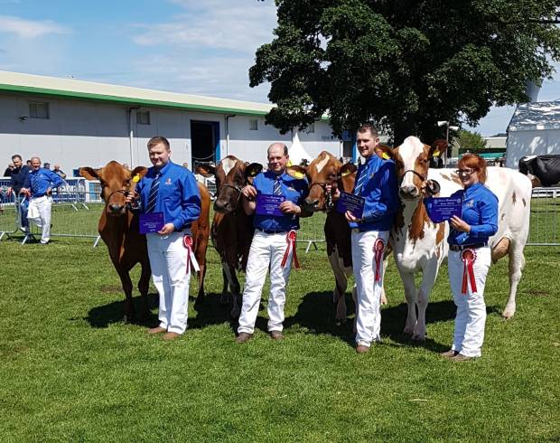 Interbreed Team winners