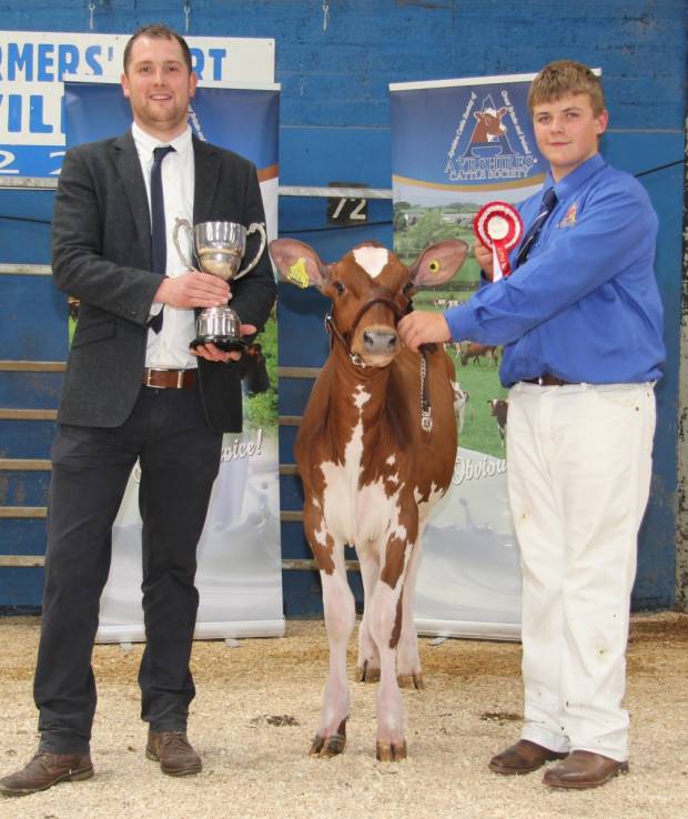 Jack King - Intermediate and overall champion handler