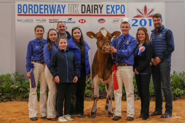 Junior Champion - Sandyford Triclo Fable