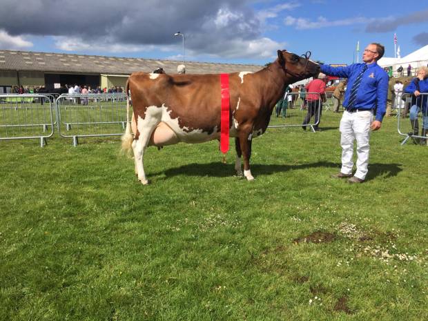 Royal Cornwall Show 2019