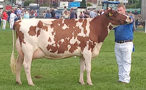 Dumfries Show