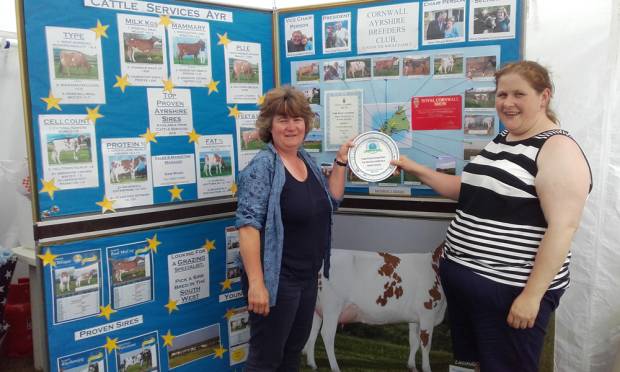 The Cornwall Ayrshire Breeders Club Won The Best Breed Society Stand