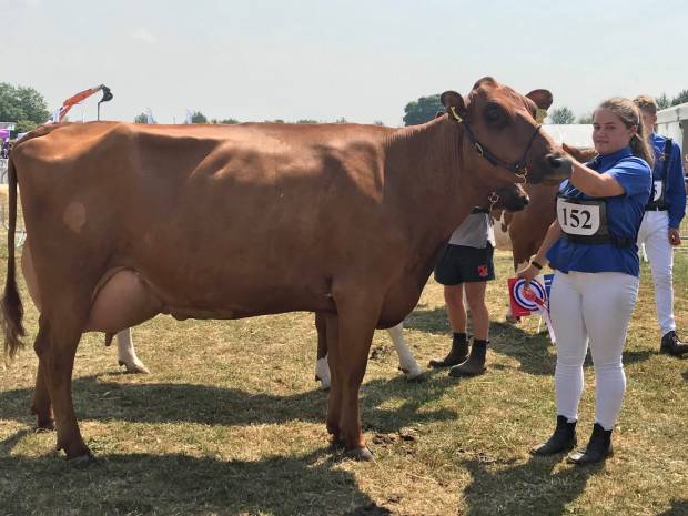 Kent Show 2018 Results