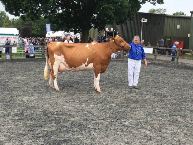 South of England Show