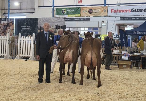 South West Dairy Show