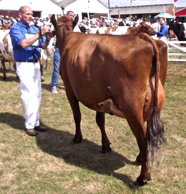 Willowfields June 2 Junior Champion