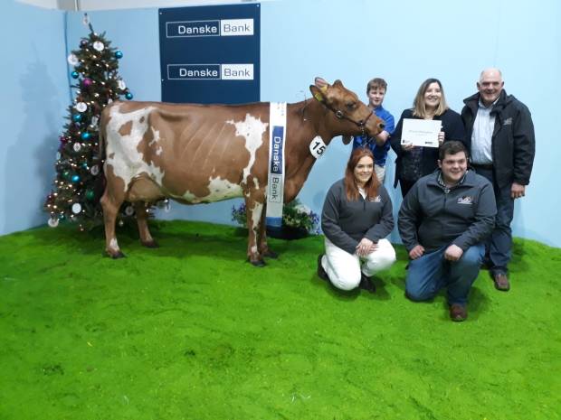 Breed Champion, SANDYFORD LUCKY HONEY