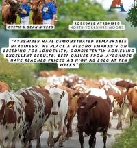 Ayrshire Breeders Testimonial (7)