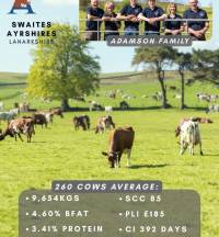 Ayrshire Breeders Testimonial (6)