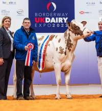 Borderway Dairy Expo 2023