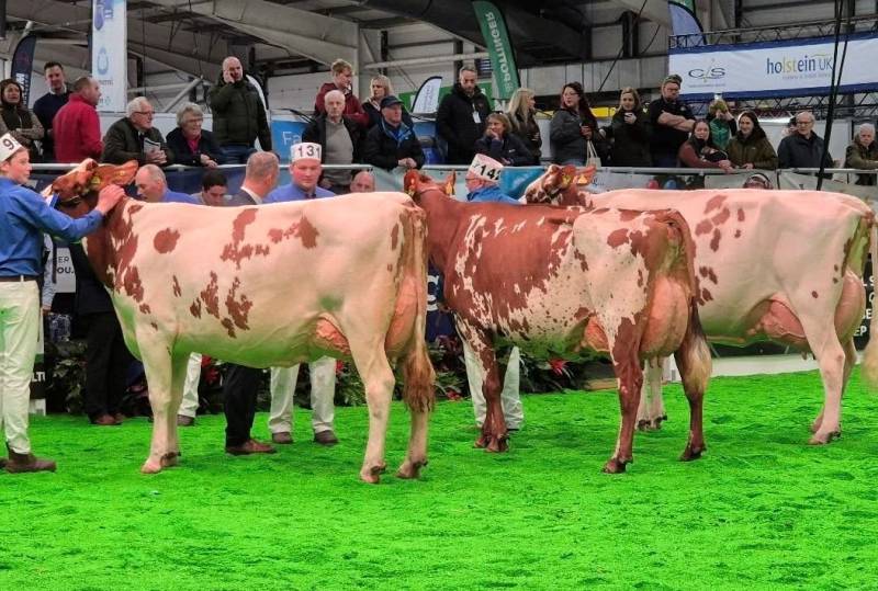 Show Results 2025 - Recently added - Agriscot - Click here for full results and all shows
