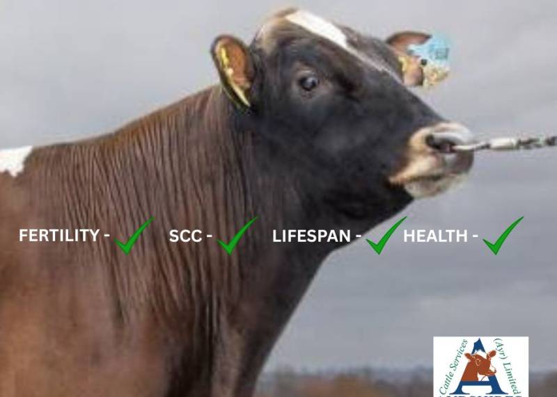 GROVE RAZELL A2A2 The Health Trait Specialist