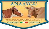 Anaaygu, Italy